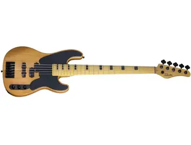 Schecter Model-T Session-5