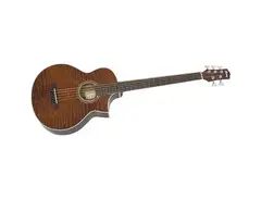 Ibanez EWB205QHFE 5-String Fretless Acoustic Bass Guitar