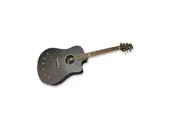 Babicz Steven Wilson Signature Model