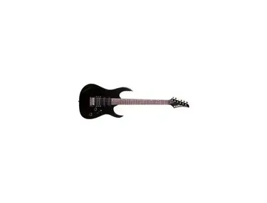 Washburn WR120
