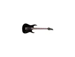 Washburn WR120 main image