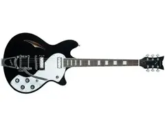 Schecter T S/H-1B