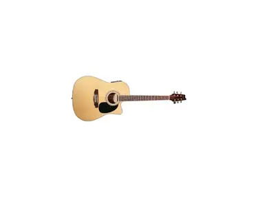 Denver Acoustic/Electric Guitar