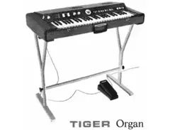 Eko Tiger main image