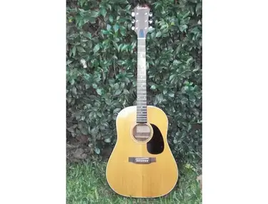 Epiphone PR-650-N