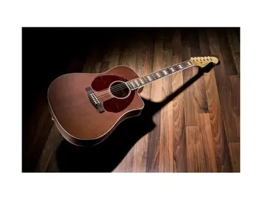 Fender Jimmy Dale Kingman SCE
