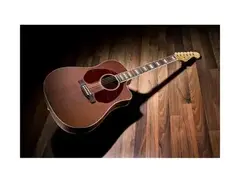 Fender Jimmy Dale Kingman SCE