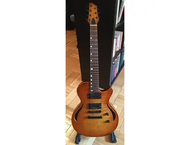 Custom 7-String Guitar