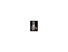 22 47 LE Limited Edition Vacuum Tube Microphone main image
