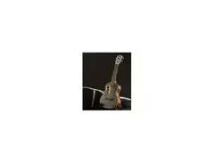Qmi Leaves ukulele main image