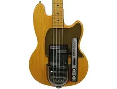 Hayman 4040 Electric Bass main image
