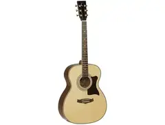Tanglewood TW170as main image