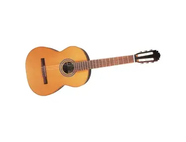 Manuel Rodriguez C3