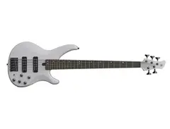 Yamaha TRB505X main image