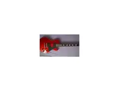 Golden Les Paul Gl-150 main image