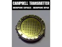 Tim Campbell CK-12 main image