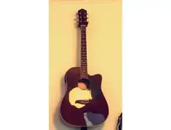 Washburn Oscar Smith acoustic guitar main image