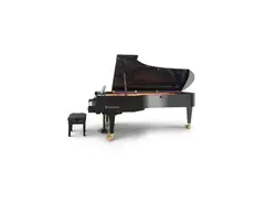 Bösendorfer Concert Grand 290 Imperial