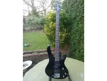 Washburn Pat Badger signature
