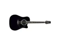 Takamine Steve Wariner SW341SC Limited Edition
