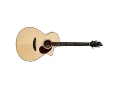 Breedlove Stage J350 EF/e main image