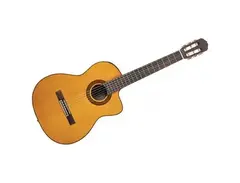 Takamine EG128SC