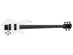 Spector Performer 5-String Bass