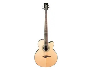 Dean Playmate EAB C 5 string acoustic-electric bassguitar