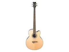 Dean Playmate EAB C 5 string acoustic-electric bassguitar main image