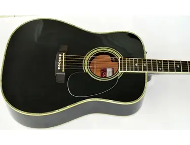 Takamine Steve Wariner 1991 SW341SC
