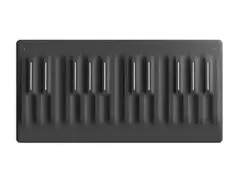 Roli Seaboard Block