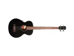 Fender BG-31 main image