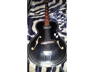 "Archie" Modified Vintage Silvertone Archtop