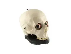 Dr. No Effects SkullFuzz