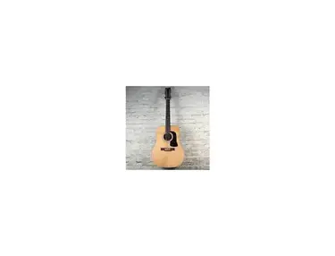 Washburn D-25-12