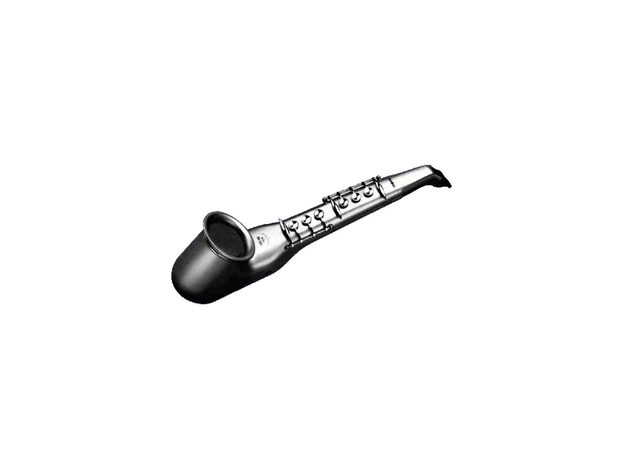 Casio DH-100 Digital Horn - What To Know & Where To Buy | Equipboard