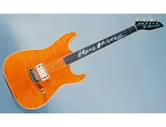Erlewine custom guitar