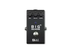 ZCAT Pedals Big Reverb TI
