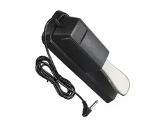 Sustain Pedal main image
