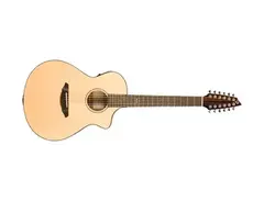 Breedlove Atlas Series Studio C250/SMe-12 main image