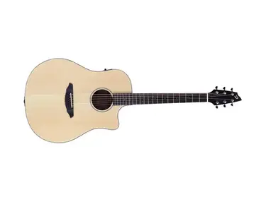 Breedlove Passport D250/SMe
