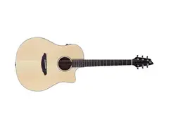 Breedlove Passport D250/SMe