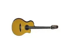 Yamaha APX5NA main image