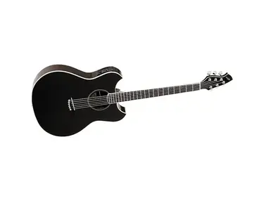 Wechter 3101T Pathmaker Thin Line Double Cutaway