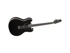 Wechter 3101T Pathmaker Thin Line Double Cutaway