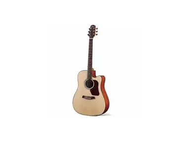 Walden Guitars D550CE Acoustic Guitar