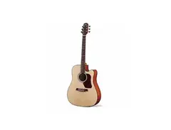 Walden Guitars D550CE Acoustic Guitar main image