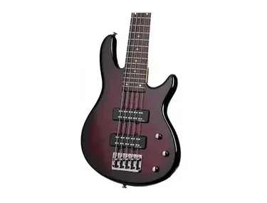 Schecter Raiden Special 5