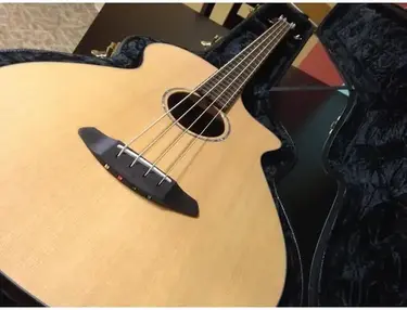 Breedlove Solo Jumbo Acoustic Bass