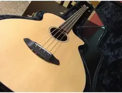 Breedlove Solo Jumbo Acoustic Bass